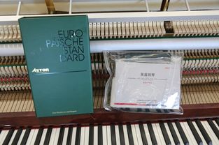 德國阿斯特鋼琴at123i技術(shù)評測