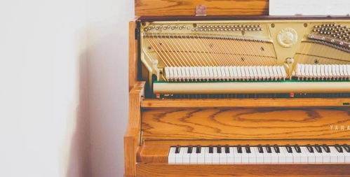 守護冬日琴音 鋼琴保養實用小妙招